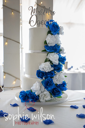 WeddingOfNatalieandJordanShenleyCricketClub-5