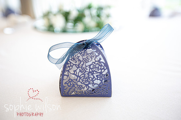 WeddingOfNatalieandJordanShenleyCricketClub-15