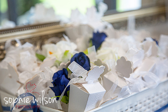 WeddingOfNatalieandJordanShenleyCricketClub-17