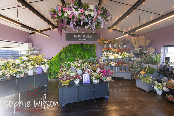 Lilacandwillow10yearanniversary-6