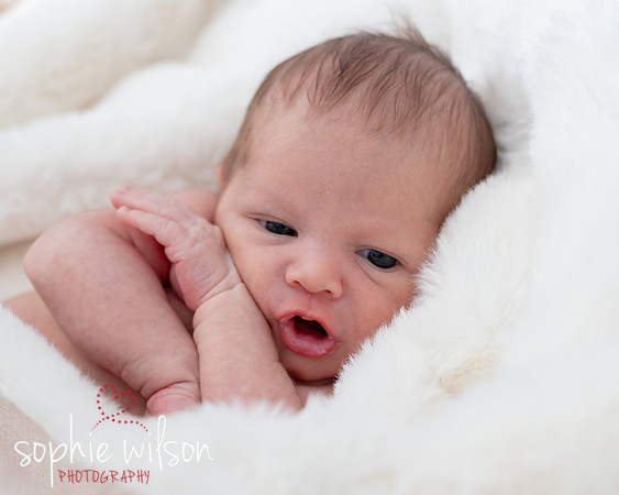 Saige newborn-36