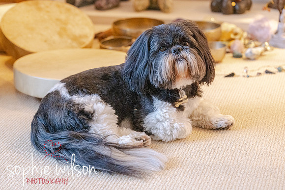 Linda and Luna 131026-77