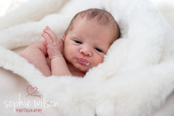 Saige newborn-34