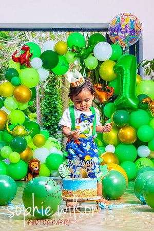 Ahiyaans First Birthday-81