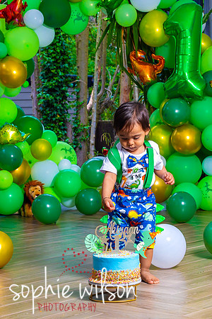 Ahiyaans First Birthday-73