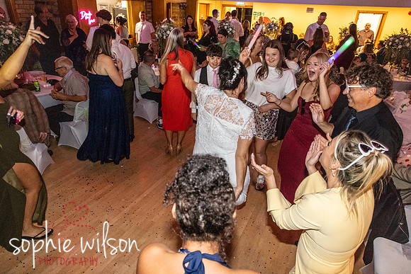 Wedding of Ali and Dave 021026-130