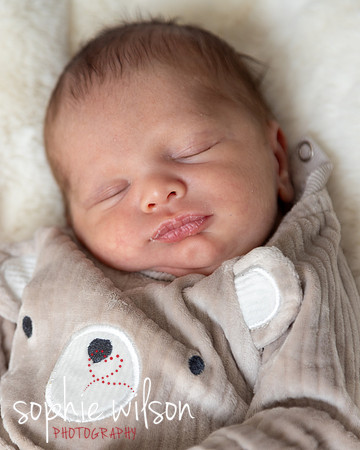 Saige newborn-1