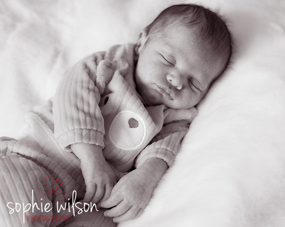 Saige newborn-5