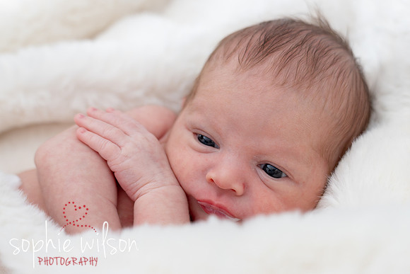 Saige newborn-31