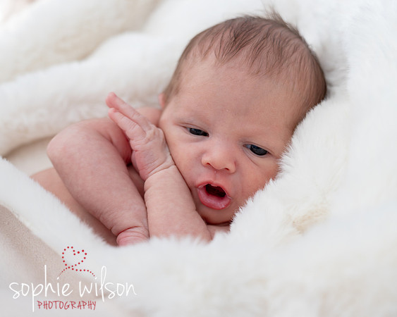Saige newborn-35