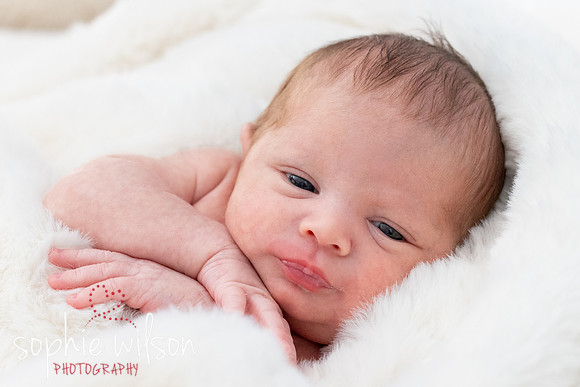 Saige newborn-18
