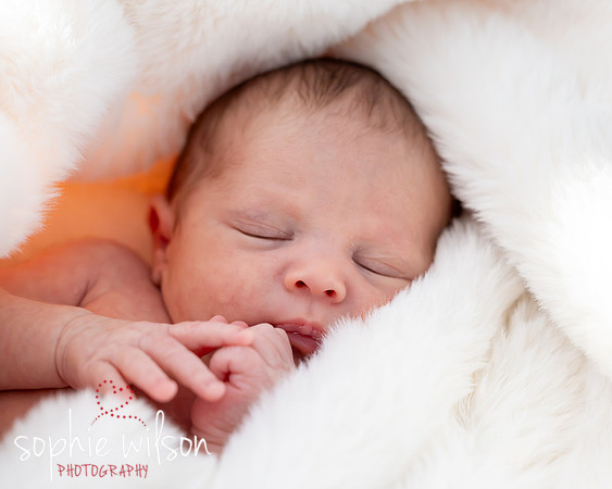 Saige newborn-15