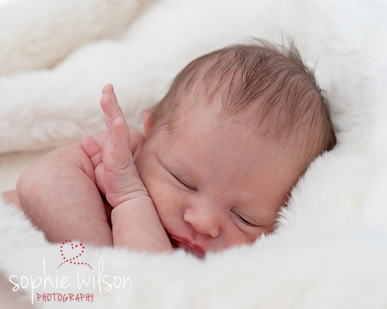 Saige newborn-32