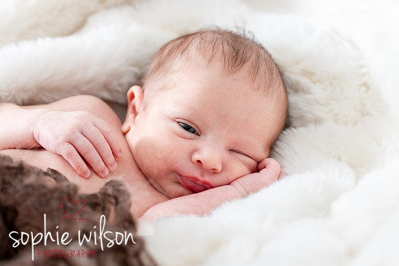 Saige newborn-43