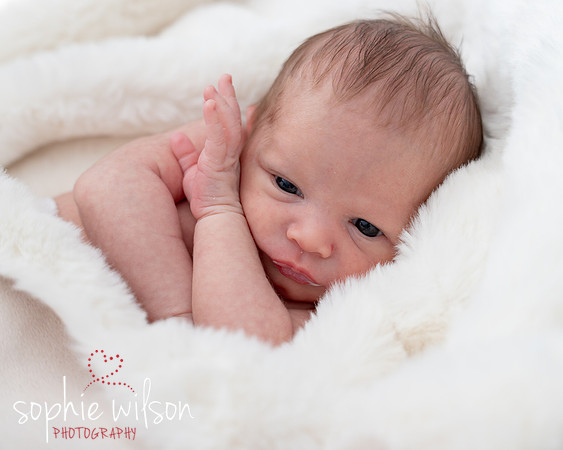 Saige newborn-33