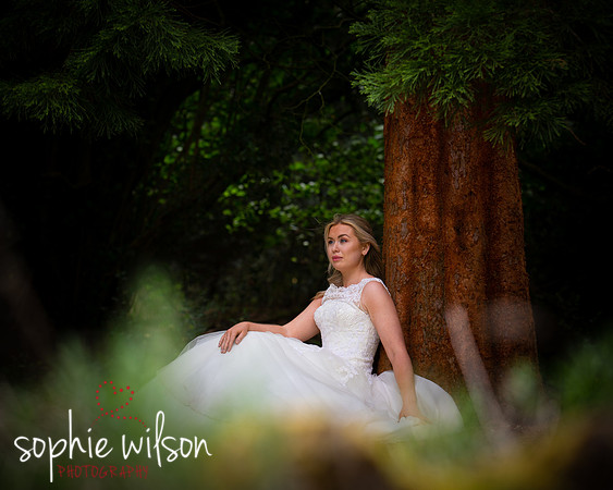 Hunton Park Weddings Portrait Bride