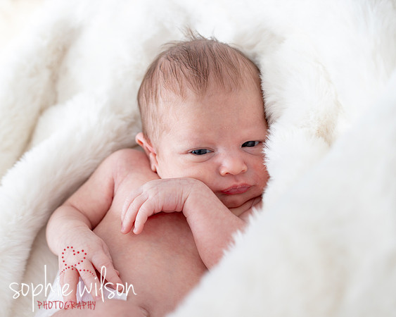 Saige newborn-38