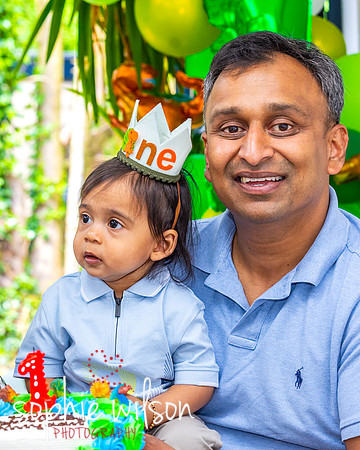 Ahiyaans First Birthday-120