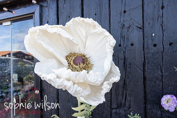 Lilacandwillow10yearanniversary-218