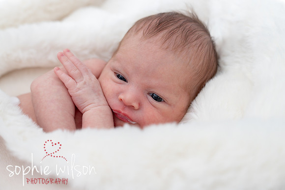 Saige newborn-30