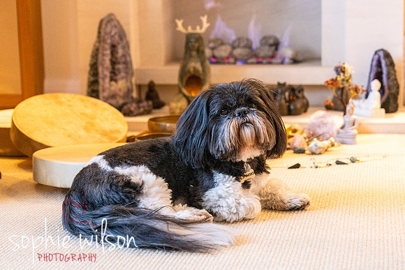 Linda and Luna 131026-74
