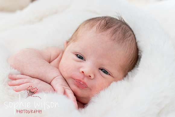 Saige newborn-17