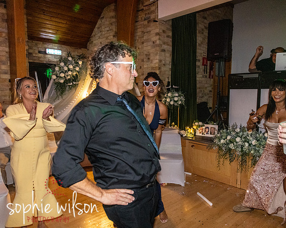 Wedding of Ali and Dave 021026-121