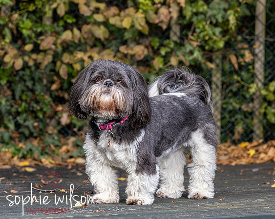 Linda and Luna 131026-34