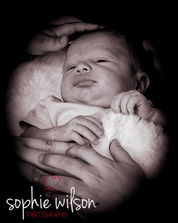 Saige newborn-65
