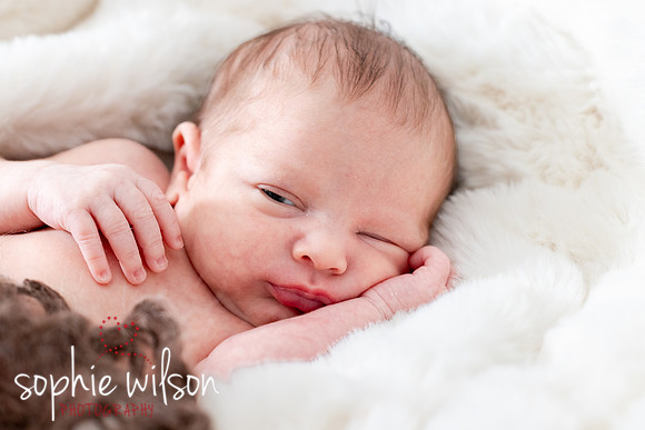 Saige newborn-42