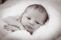 Saige newborn-19