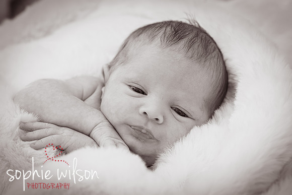 Saige newborn-19