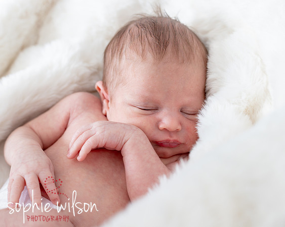Saige newborn-37