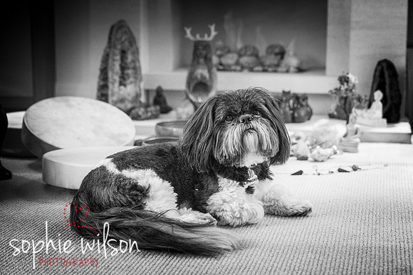 Linda and Luna 131026-75