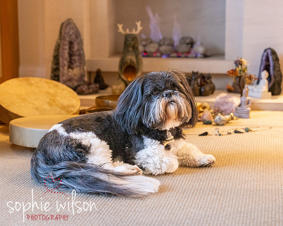 Linda and Luna 131026-73