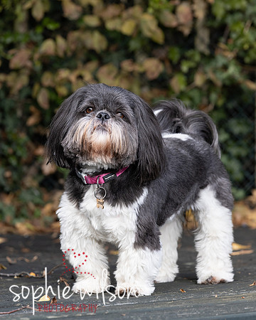 Linda and Luna 131026-33