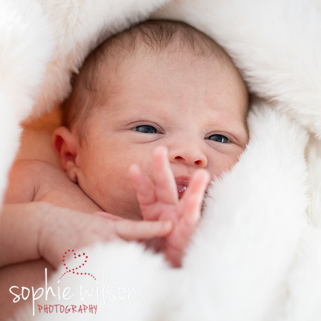 Saige newborn-16