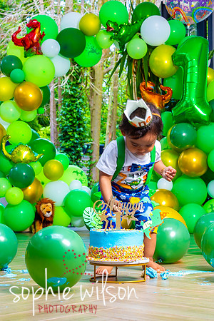 Ahiyaans First Birthday-79