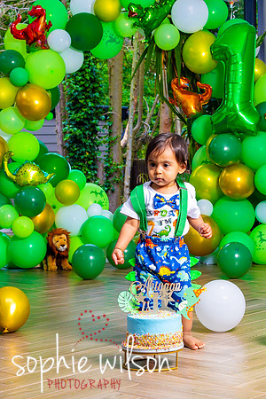 Ahiyaans First Birthday-74
