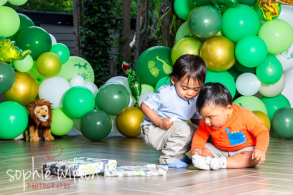 Ahiyaans First Birthday-98