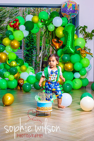 Ahiyaans First Birthday-75