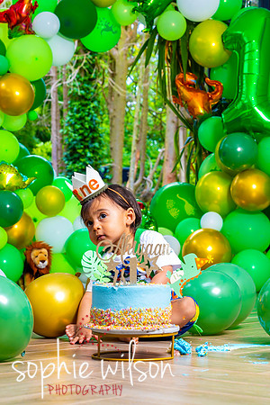 Ahiyaans First Birthday-77