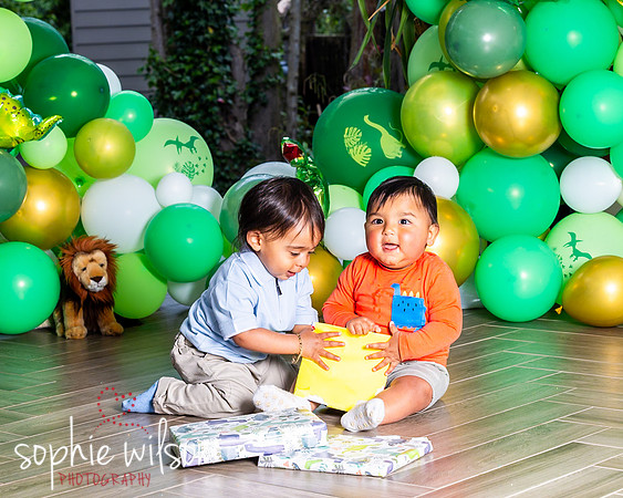 Ahiyaans First Birthday-92