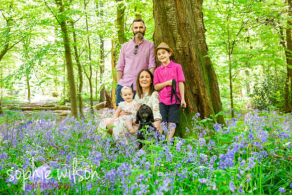 BluebellsWoodsFamilyPhotoshoot