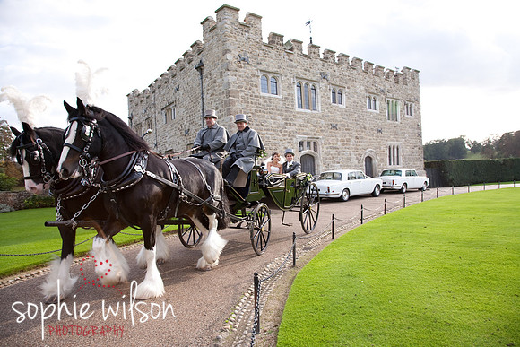 Leeds Castle Wedding Horse And Carriage