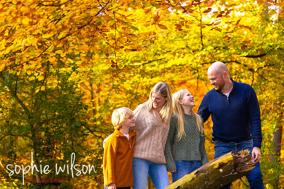 AutumncoloursphotoshootWhippendaleWoodsandTheGrove-33