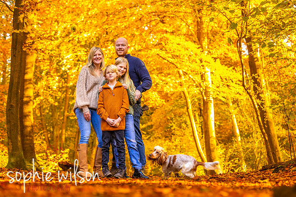 AutumncoloursphotoshootWhippendaleWoodsandTheGrove-83