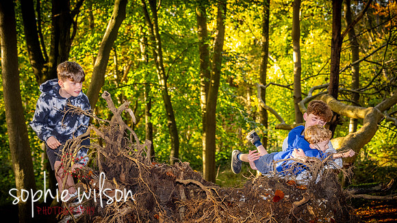 Ashridge19OCTOBER2024FamilyShoot-21