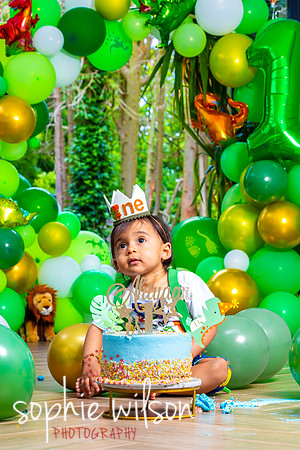 Ahiyaans First Birthday-76