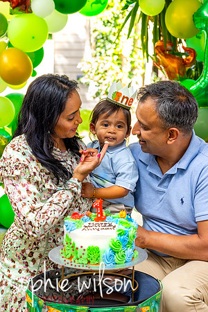 Ahiyaans First Birthday-127